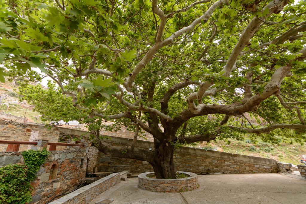 קריסטוס Makronas Apartments מראה חיצוני תמונה